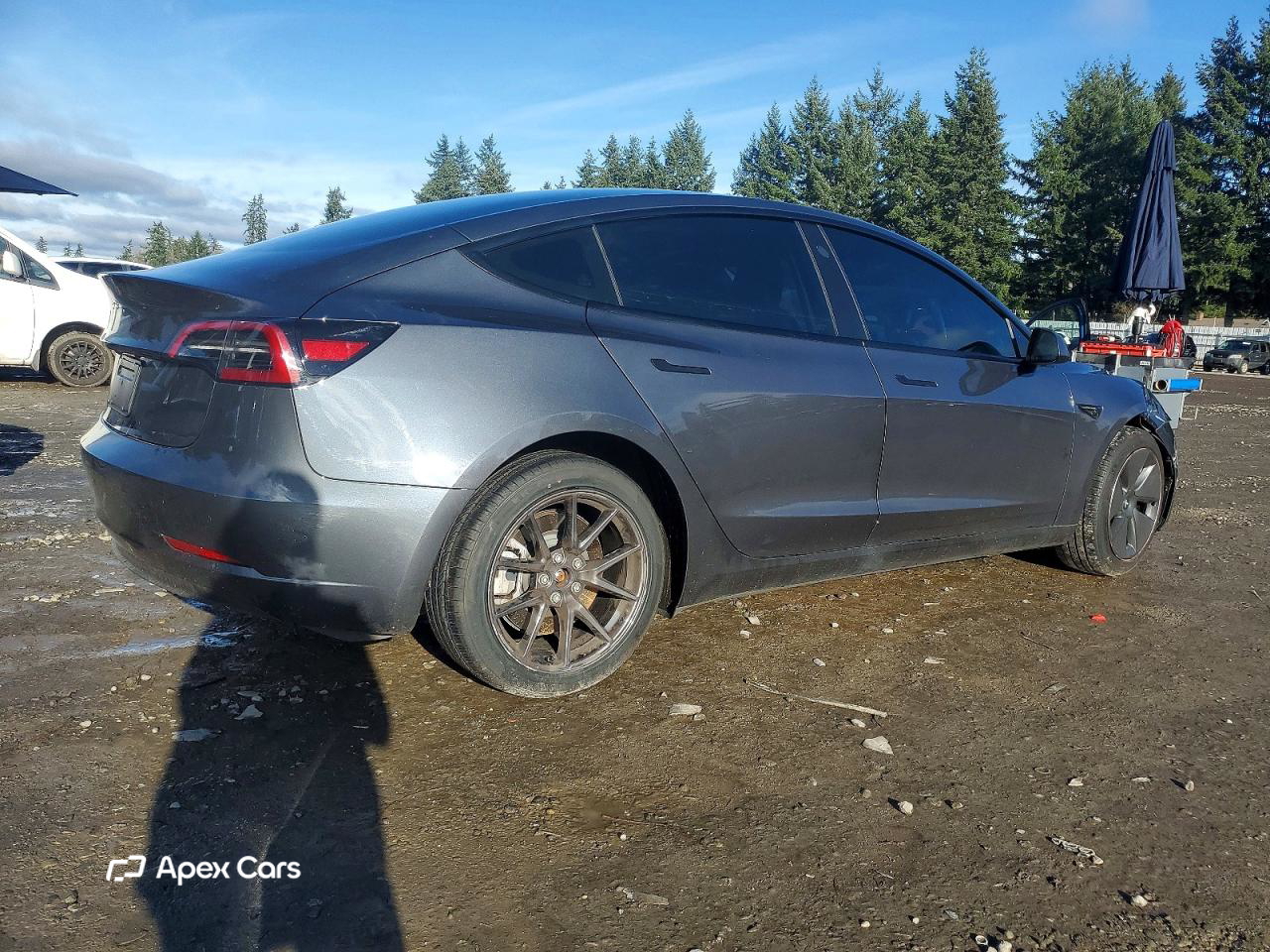 Tesla Model 3 2023