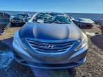 Hyundai Sonata 2011