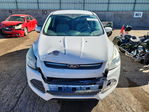 Ford Escape 2016
