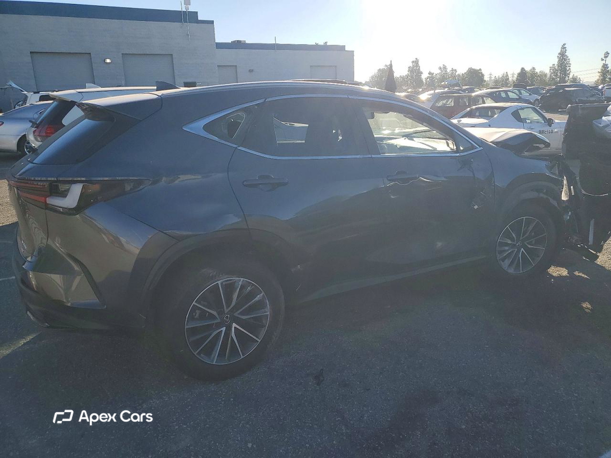 Lexus NX 2024