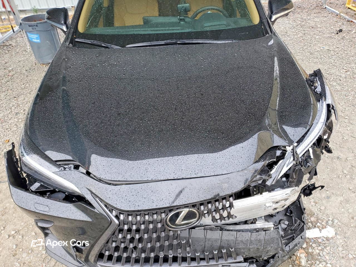 Lexus NX 2026