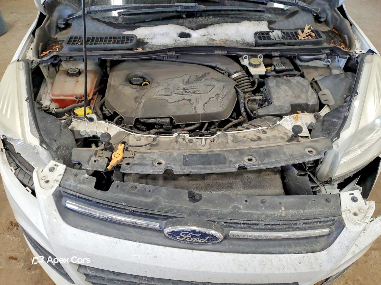 Ford Escape 2013