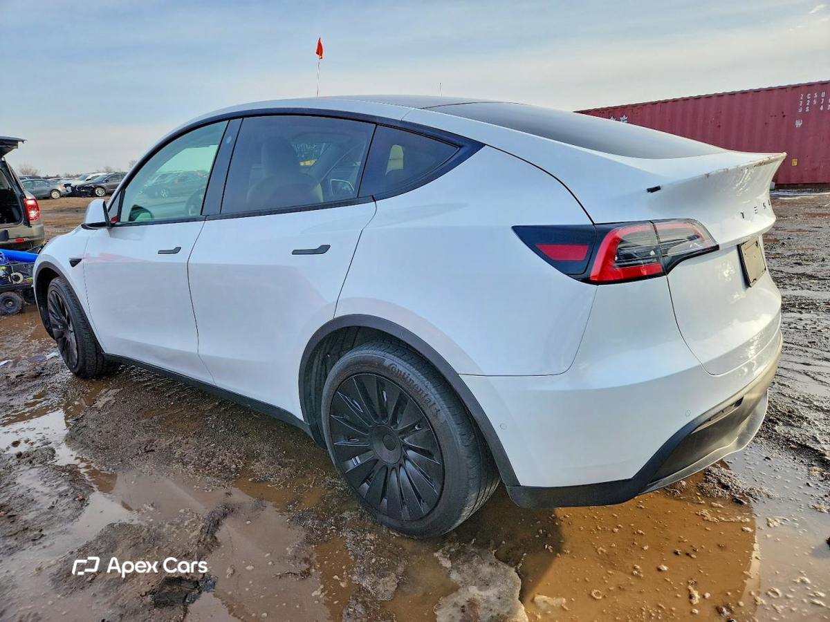 Tesla Model Y 2021