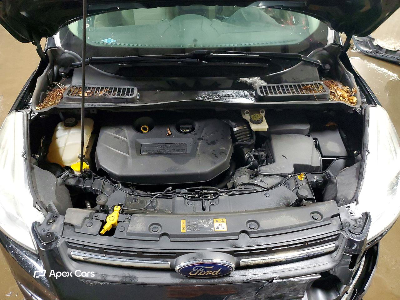 Ford Escape 2013