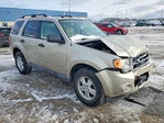 Ford Escape 2010