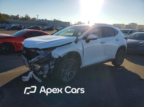 Lexus NX 2026 - Zdjęcie 1 z 13