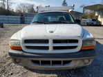 Dodge Dakota 2001