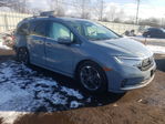 Honda Odyssey 2024