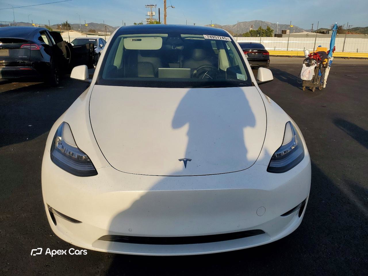 Tesla Model Y 2021