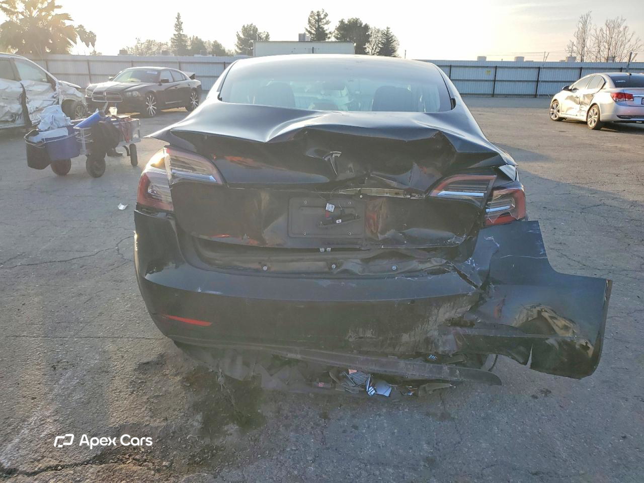 Tesla Model 3 2019