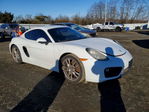 Porsche Cayman 2015
