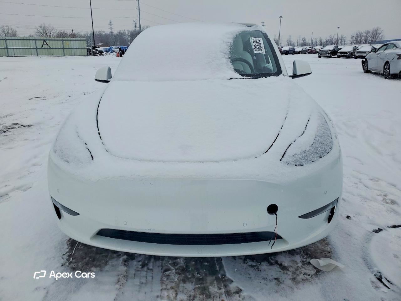 Tesla Model Y 2021