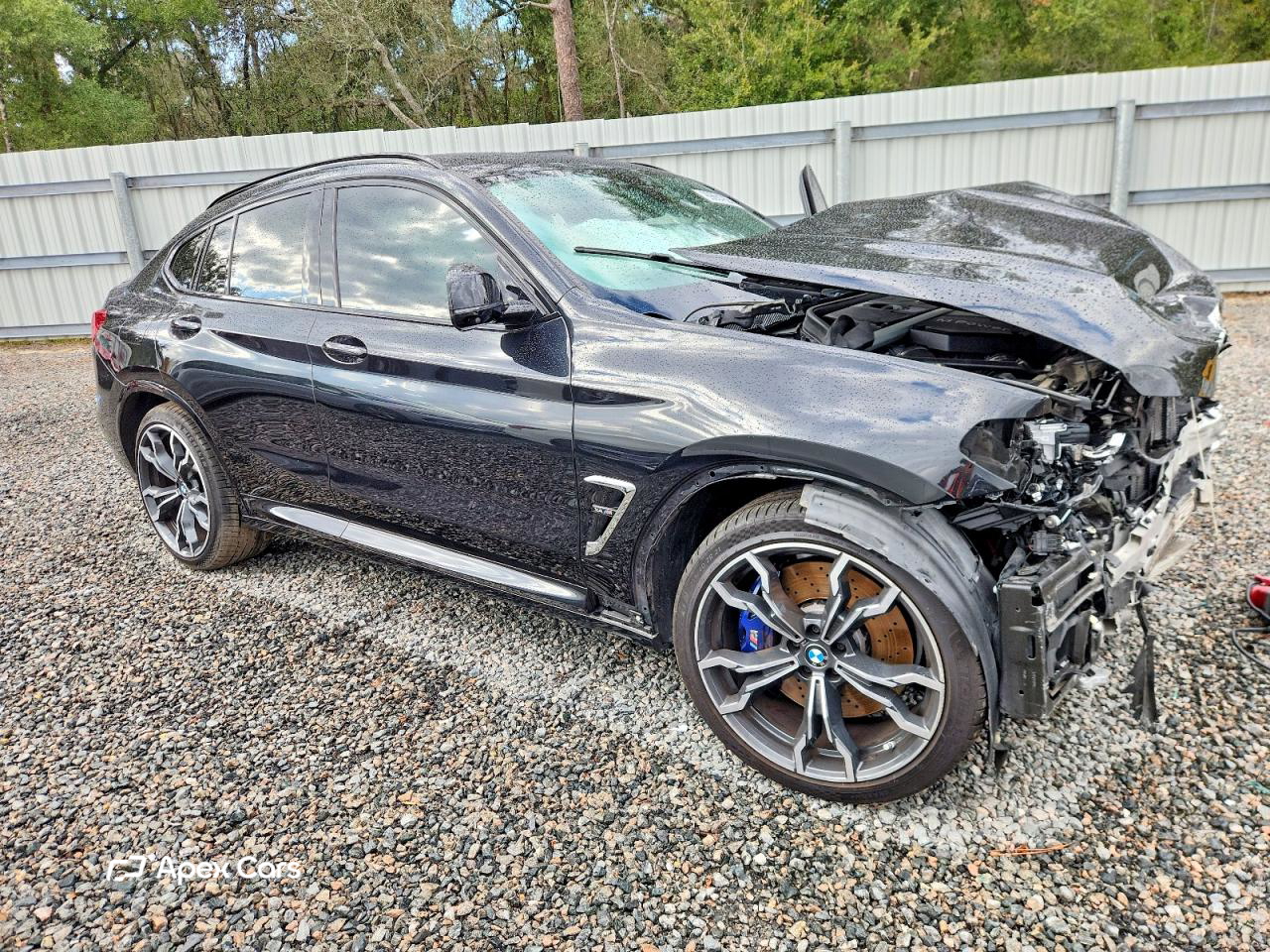 BMW X4 2021