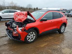 Ford Escape 2024