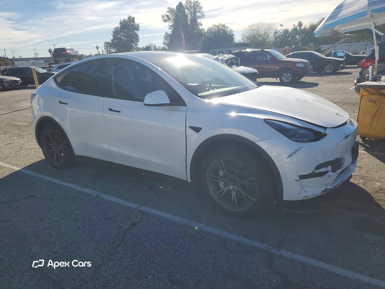 Tesla Model Y 2024