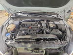 Kia K5 2024