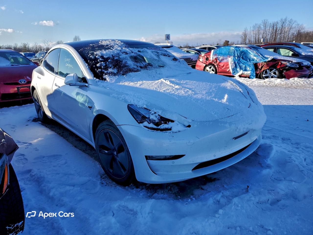 Tesla Model 3 2021