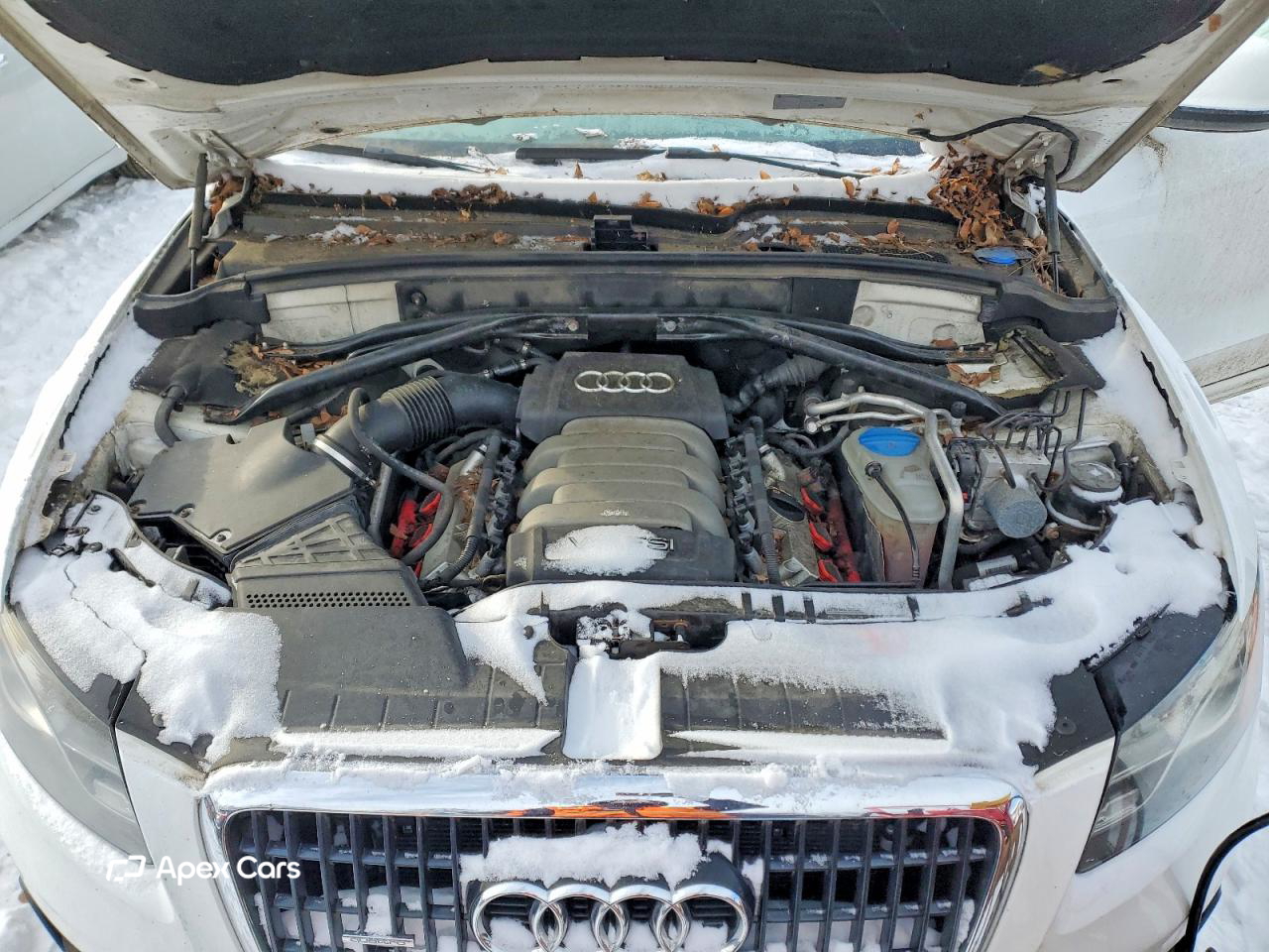 Audi Q5 2010