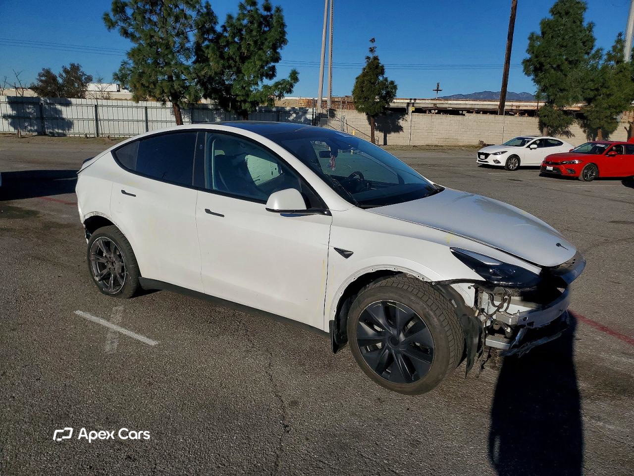 Tesla Model Y 2024