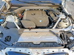 BMW X4 2024