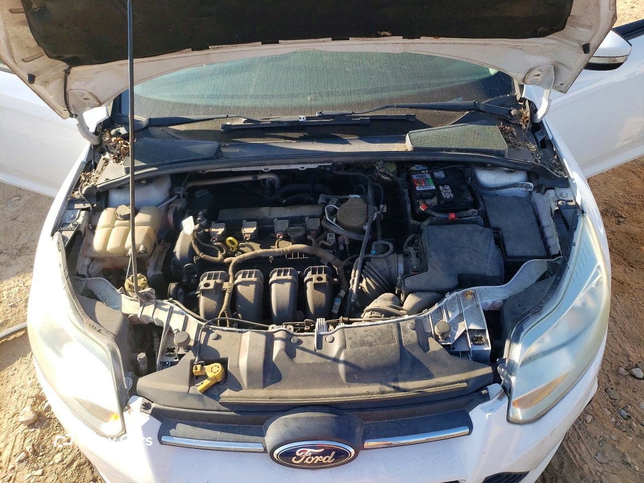 Ford Focus 2014