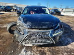 Lexus NX 2019