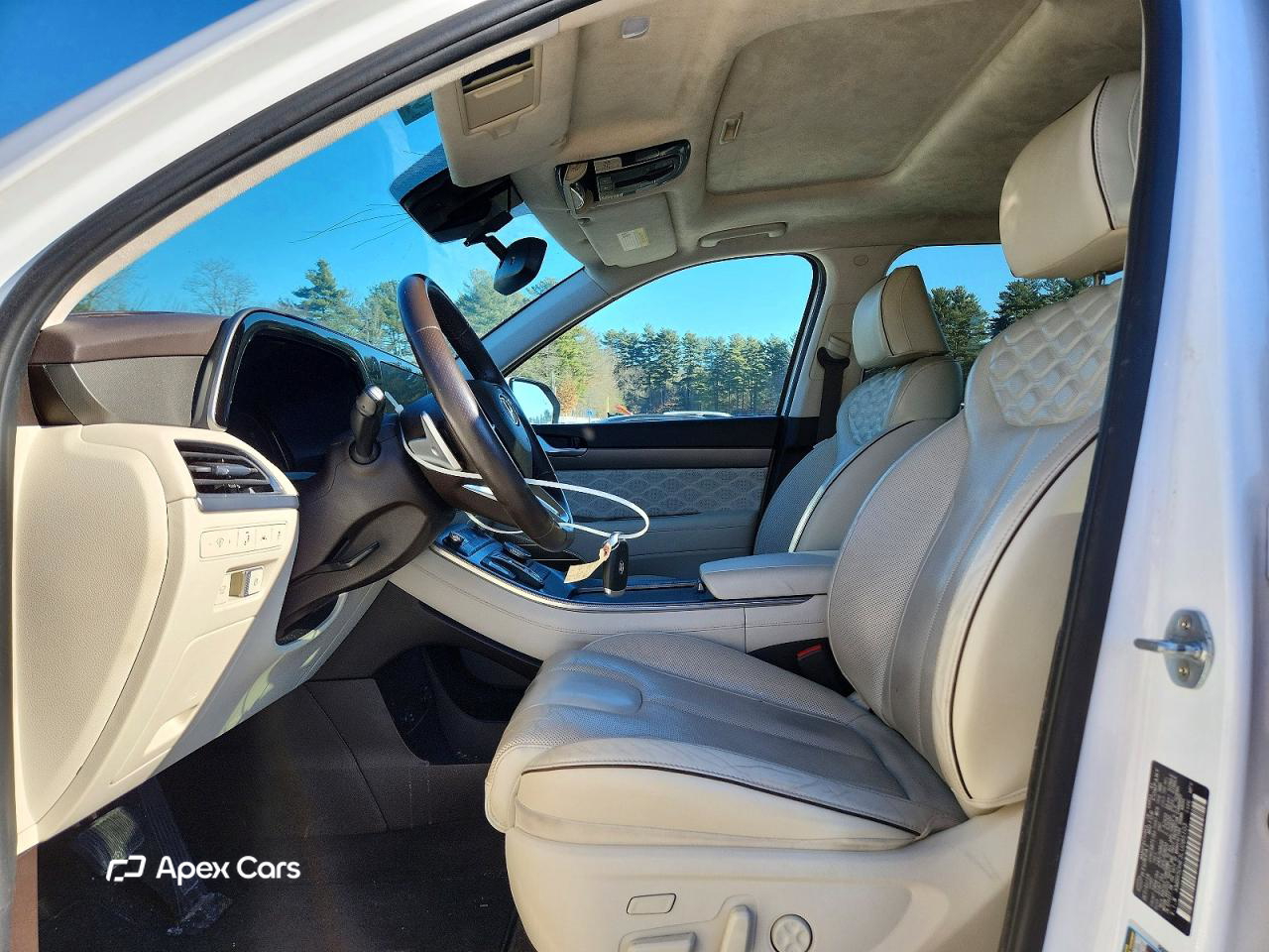 Hyundai Palisade 2020