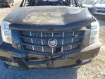 Cadillac Escalade 2014