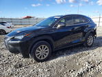 Lexus NX 2021