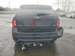 Ford Edge 2013
