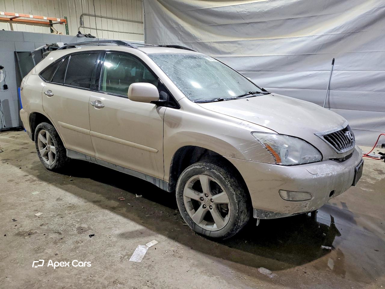 Lexus RX 2008