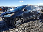 Ford Escape 2014