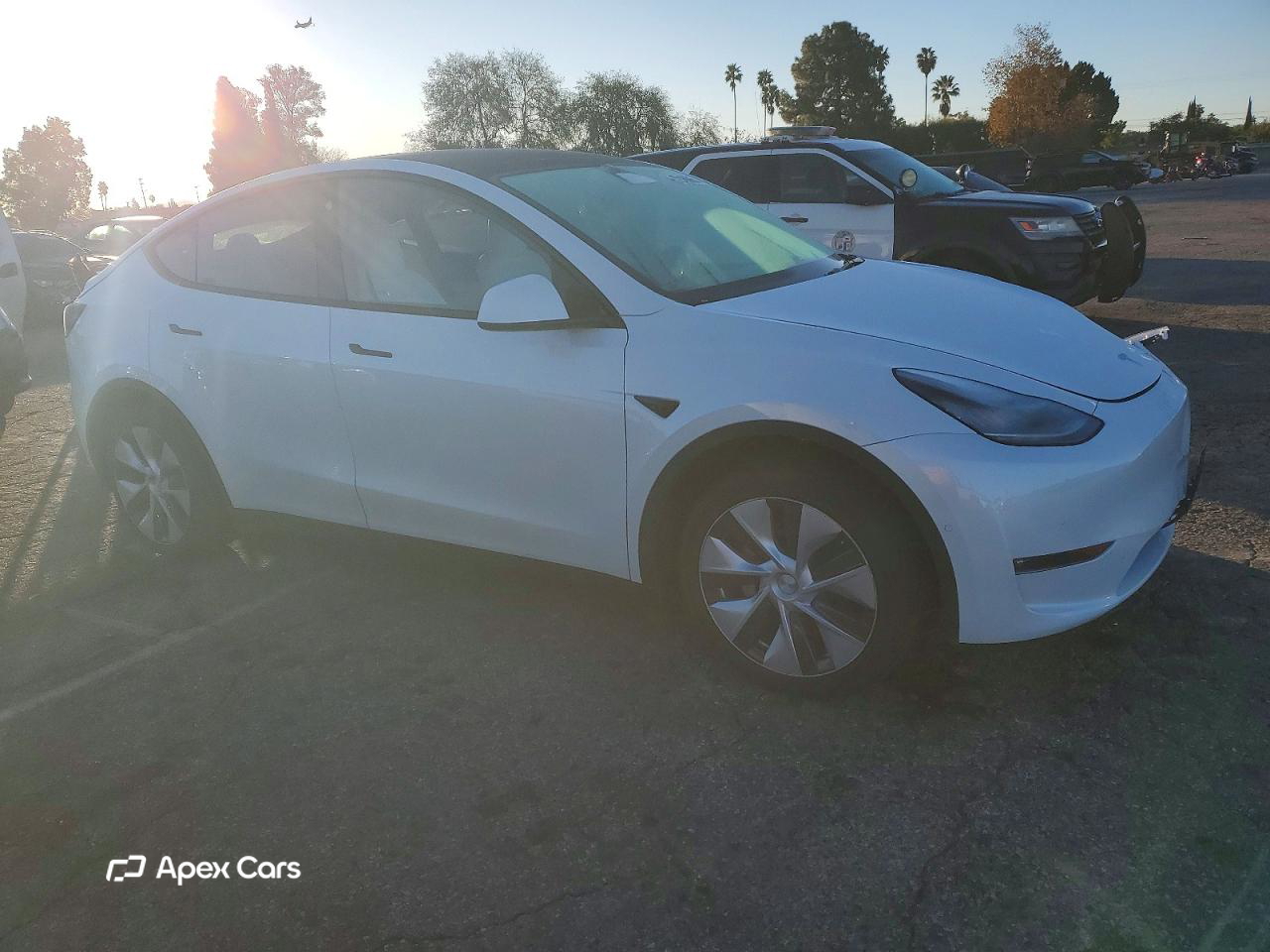 Tesla Model Y 2021