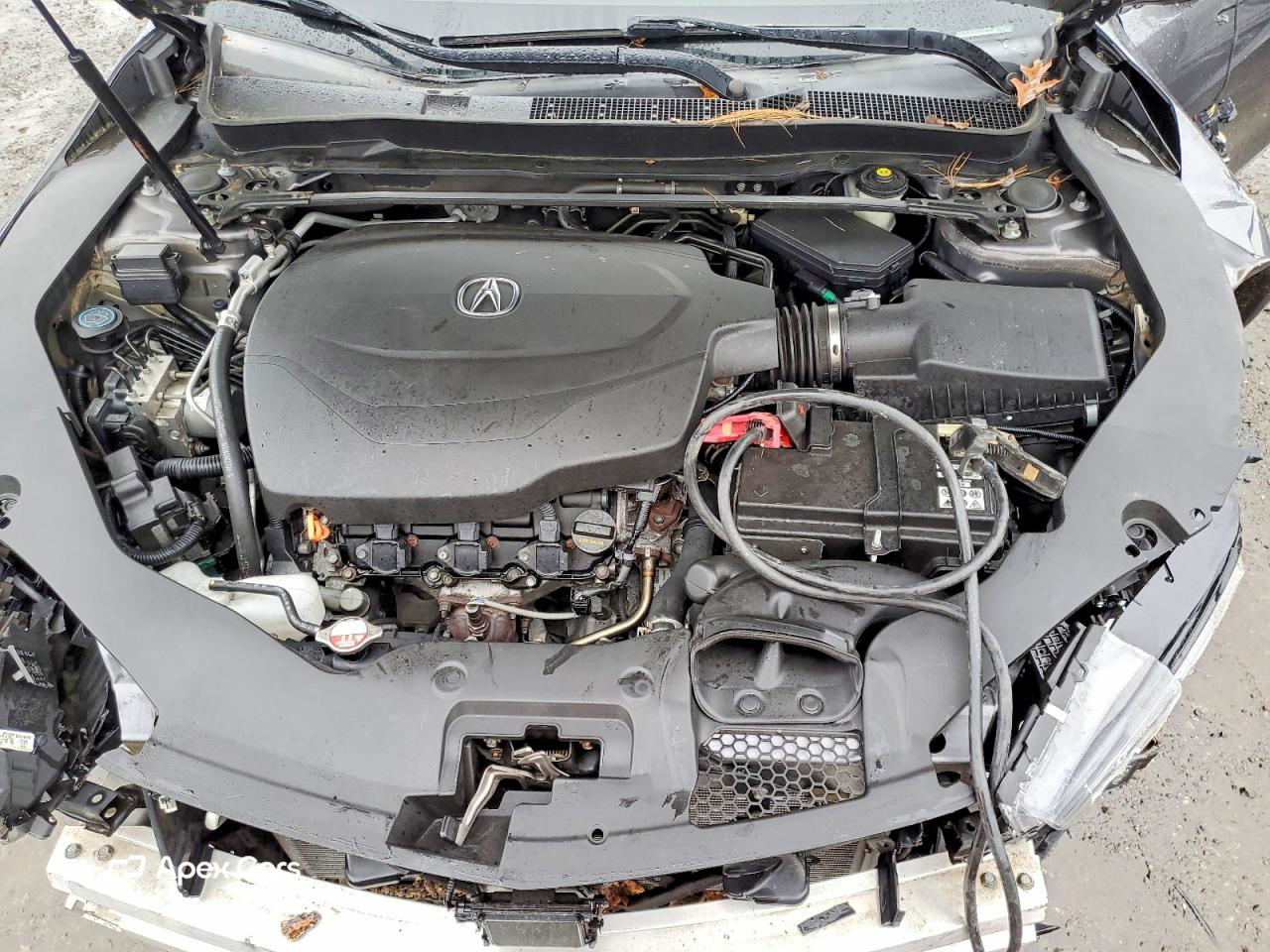 Acura TLX 2019
