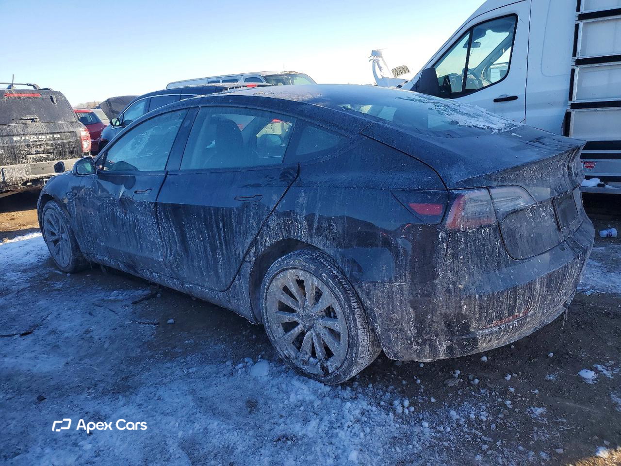 Tesla Model 3 2023