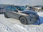 Ford Escape 2020