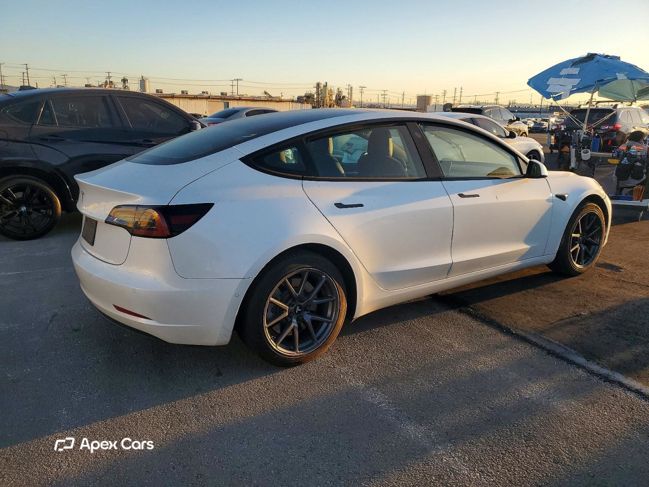 Tesla Model 3 2022