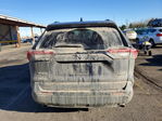 Toyota RAV 4 2024