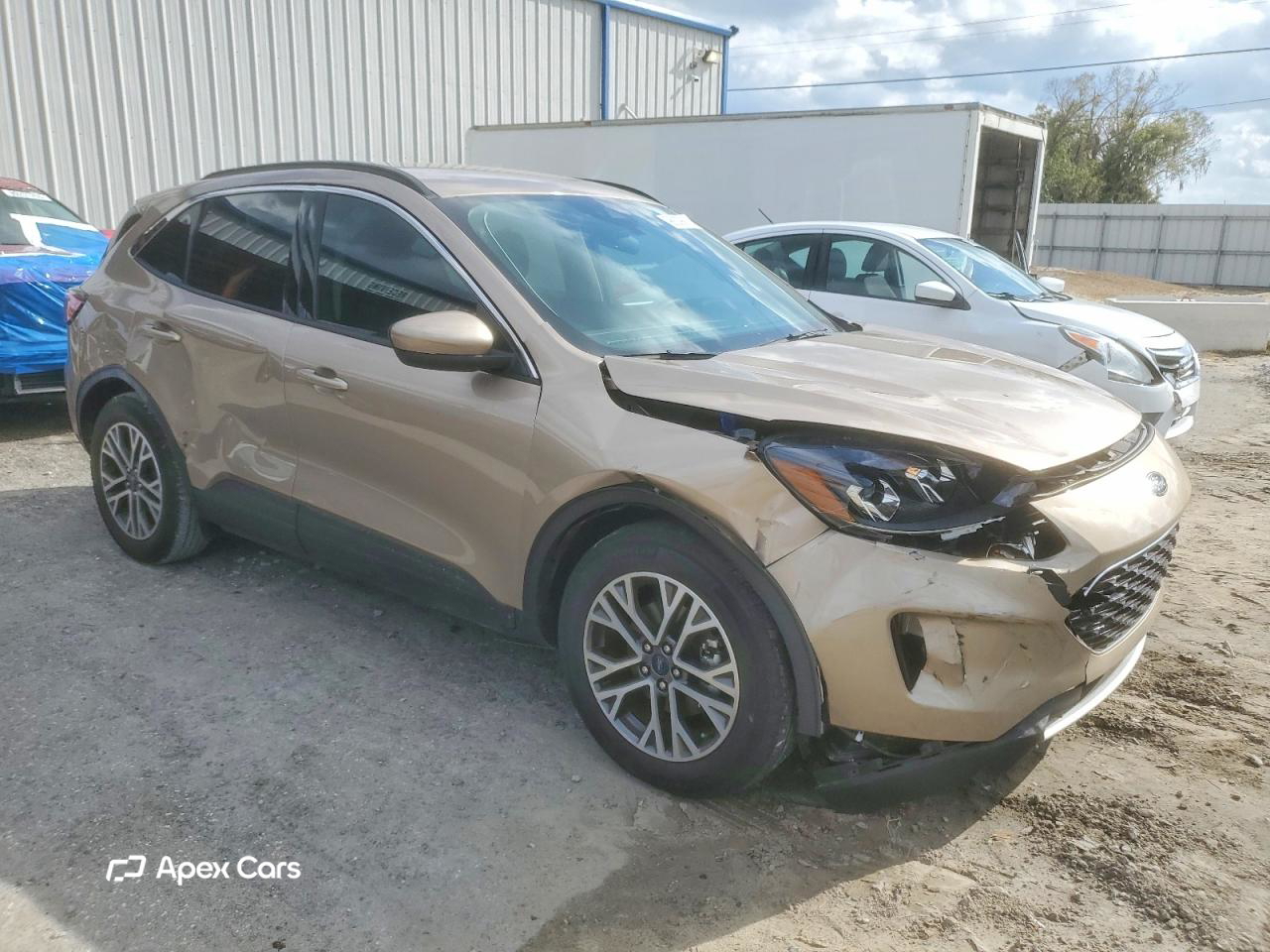 Ford Escape 2020