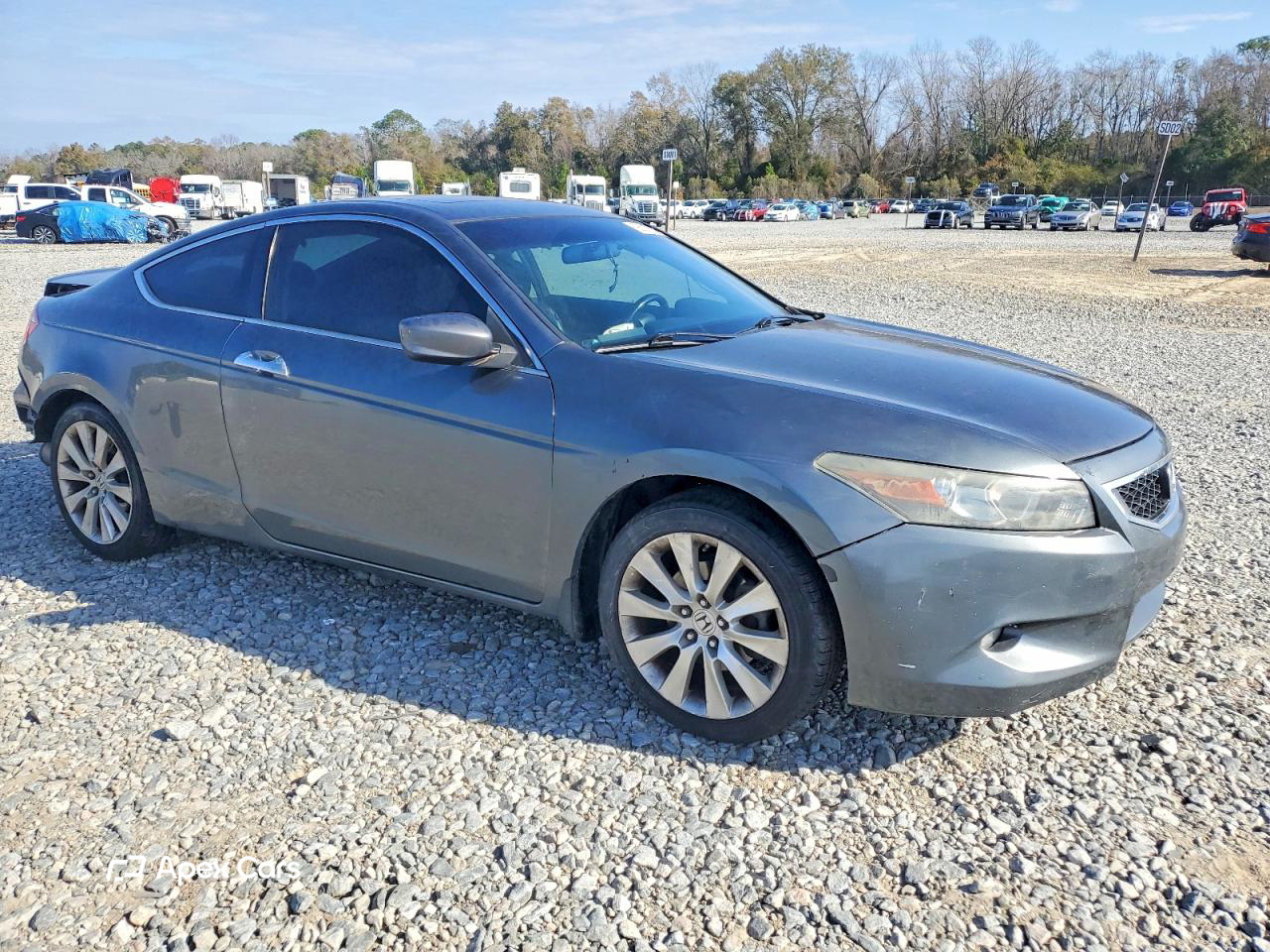 Honda Accord 2010