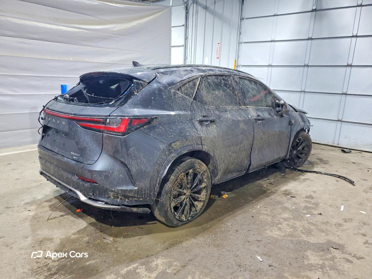 Lexus NX 2025