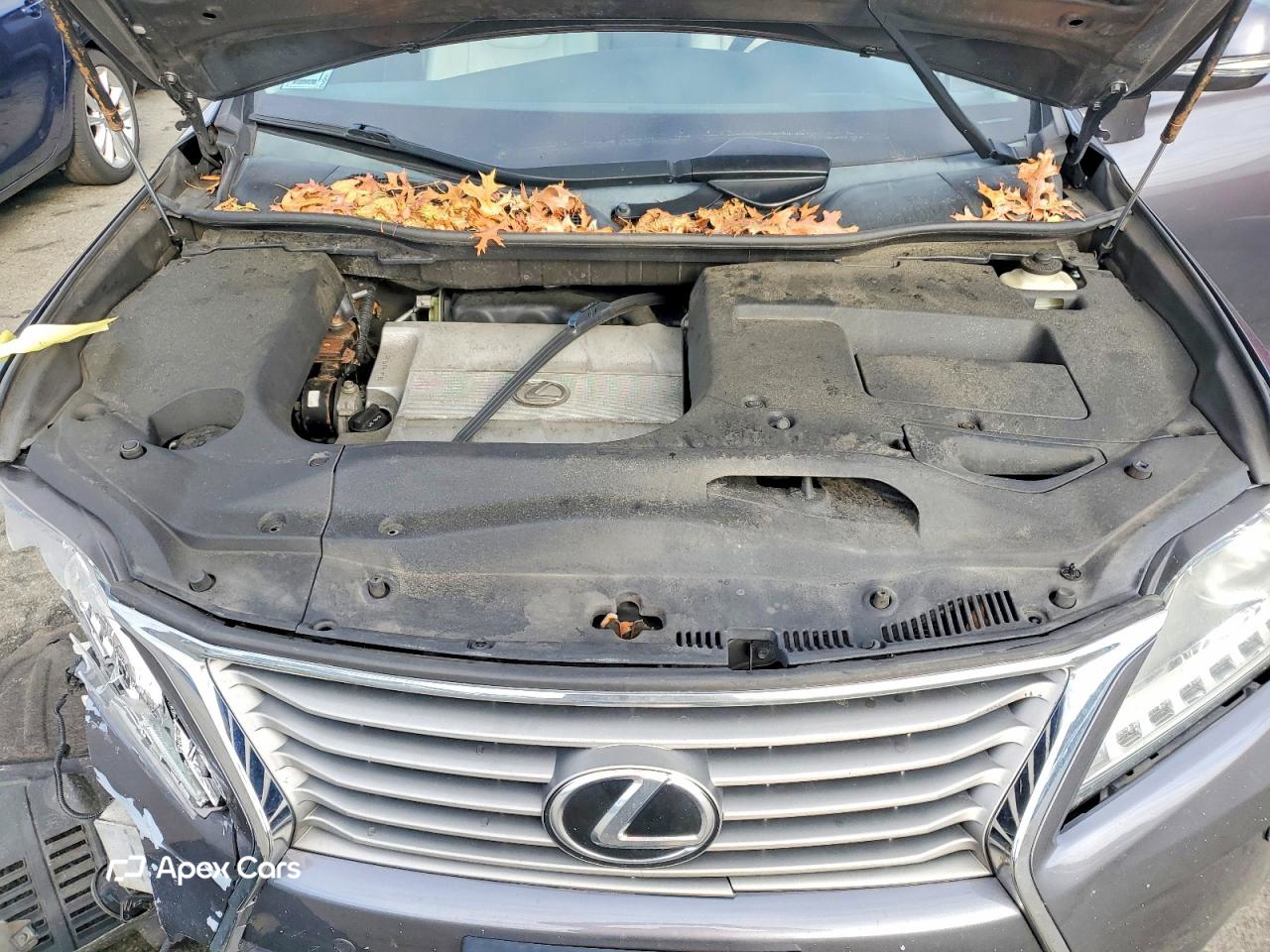 Lexus RX 2015