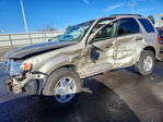 Ford Escape 2010