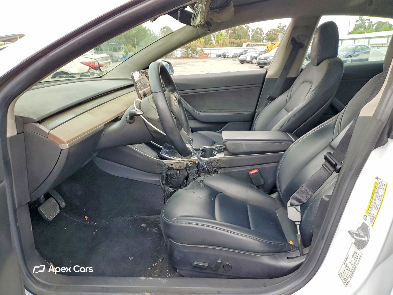 Tesla Model 3 2019