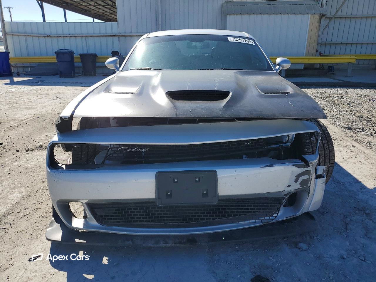 Dodge Challenger 2019
