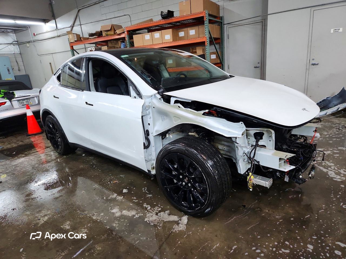 Tesla Model Y 2020