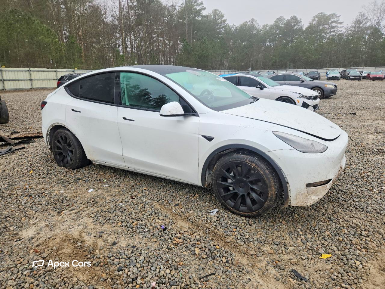 Tesla Model Y 2021