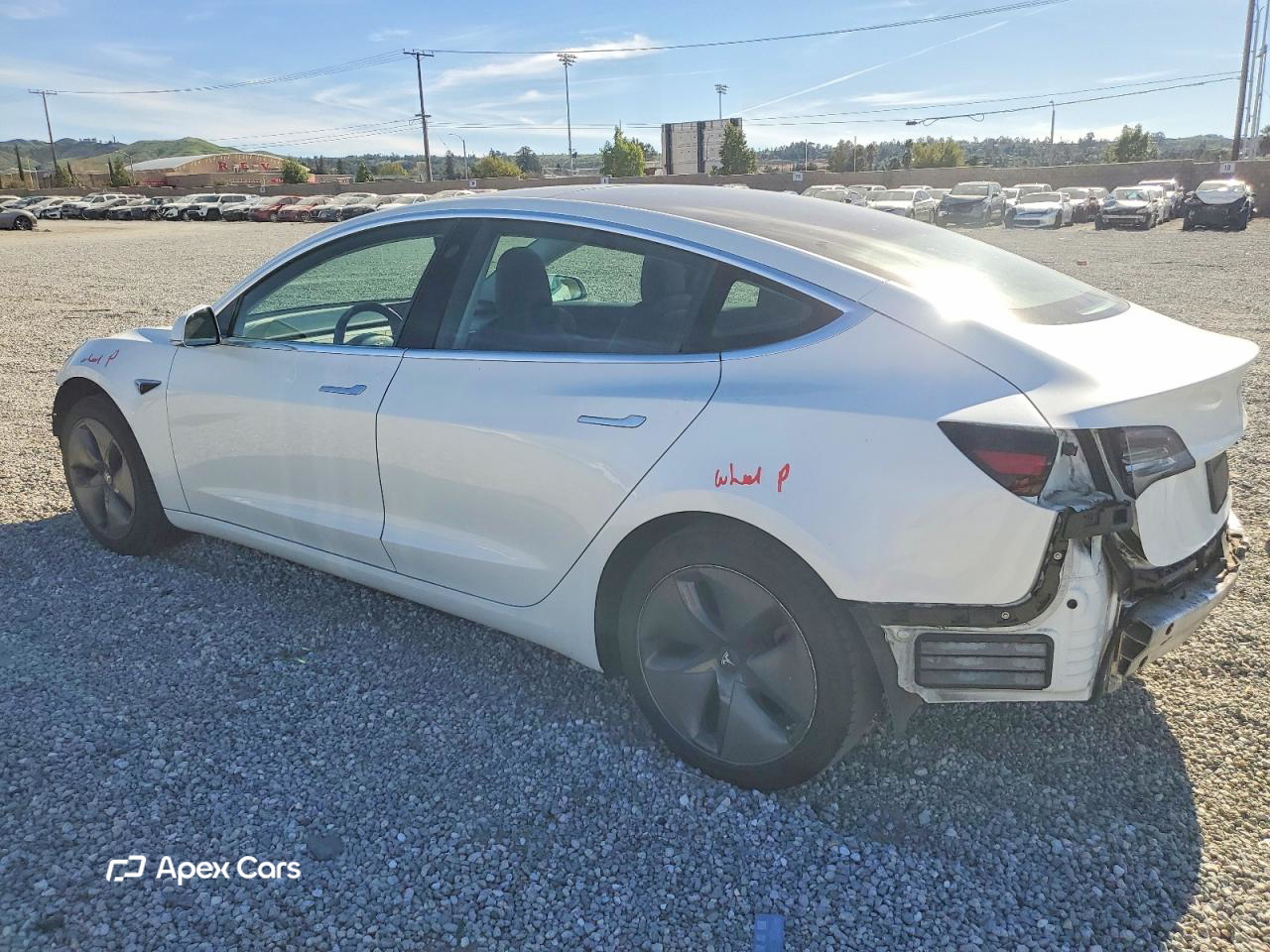 Tesla Model 3 2019