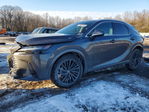 Lexus RX 2024