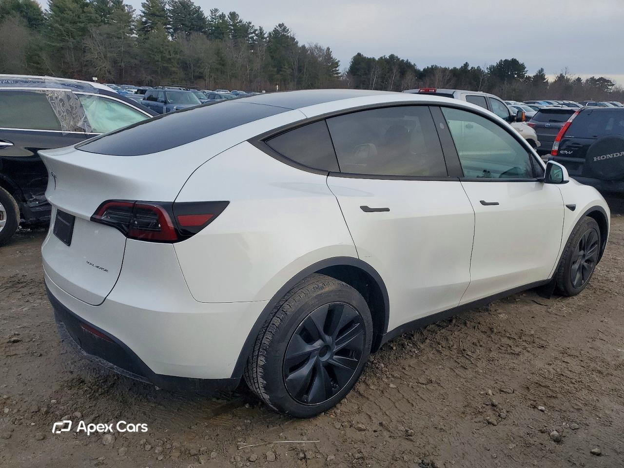 Tesla Model Y 2024